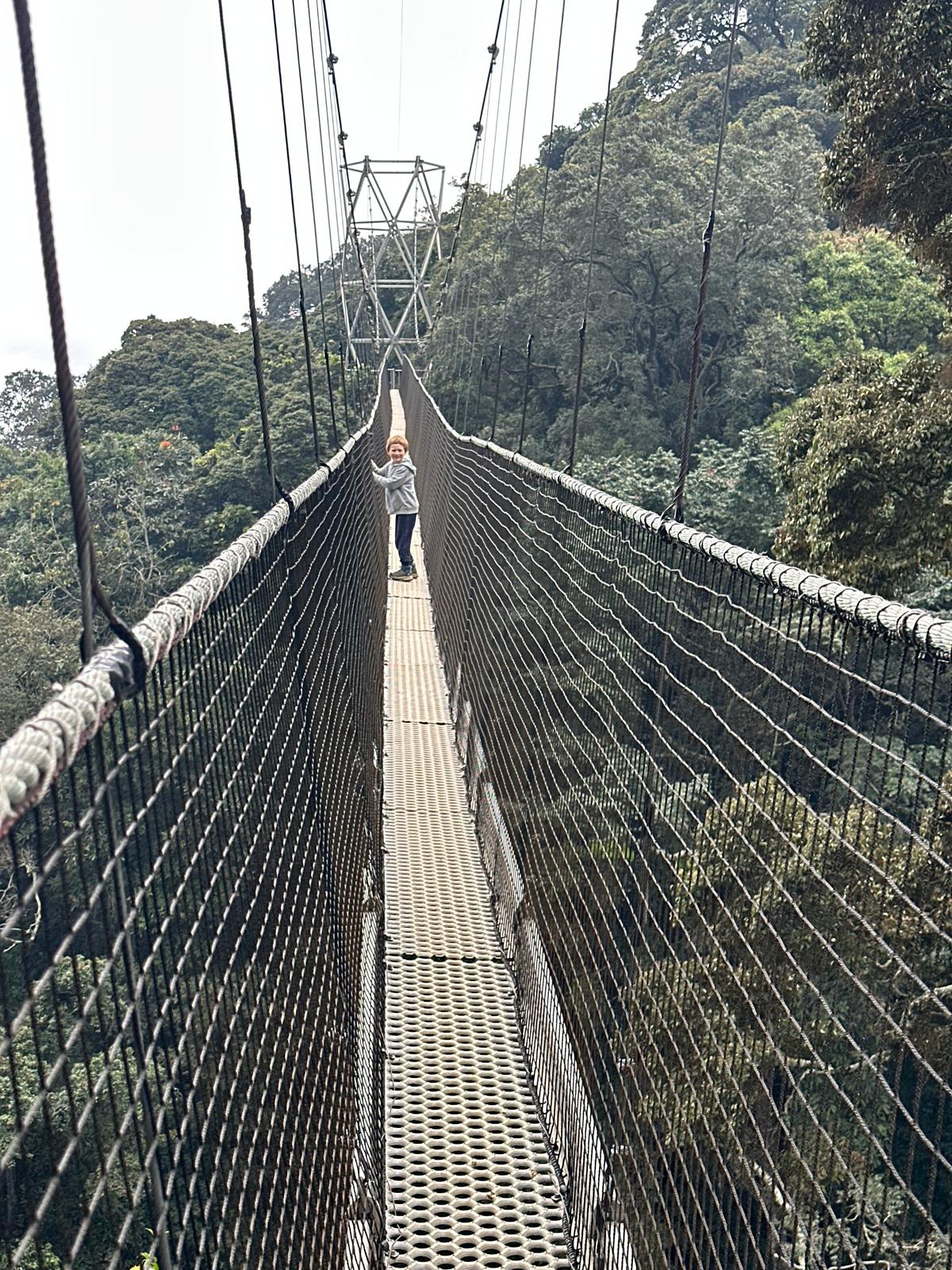 Nyungwe National Park Adventure – 3 Days Image